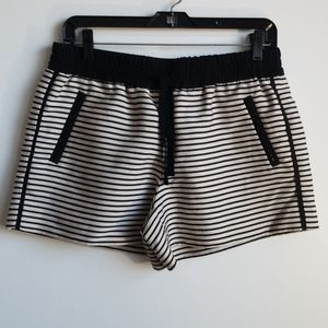 Loft Women's sz.8 Shorts